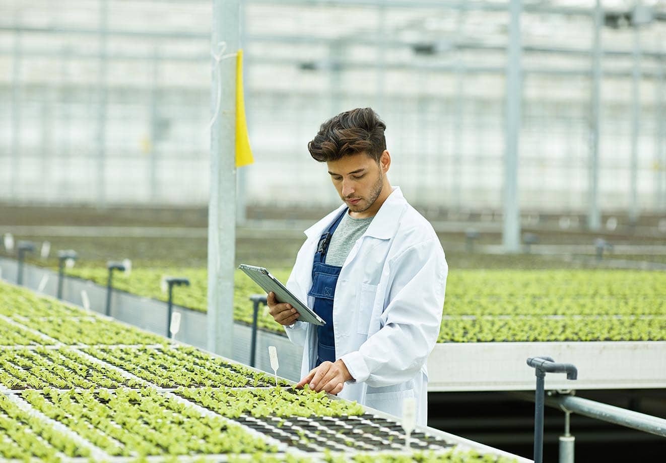 A person refers to a tablet while examining seedlings