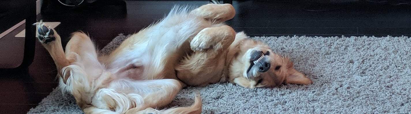 Archie