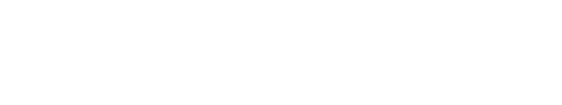 South University logo