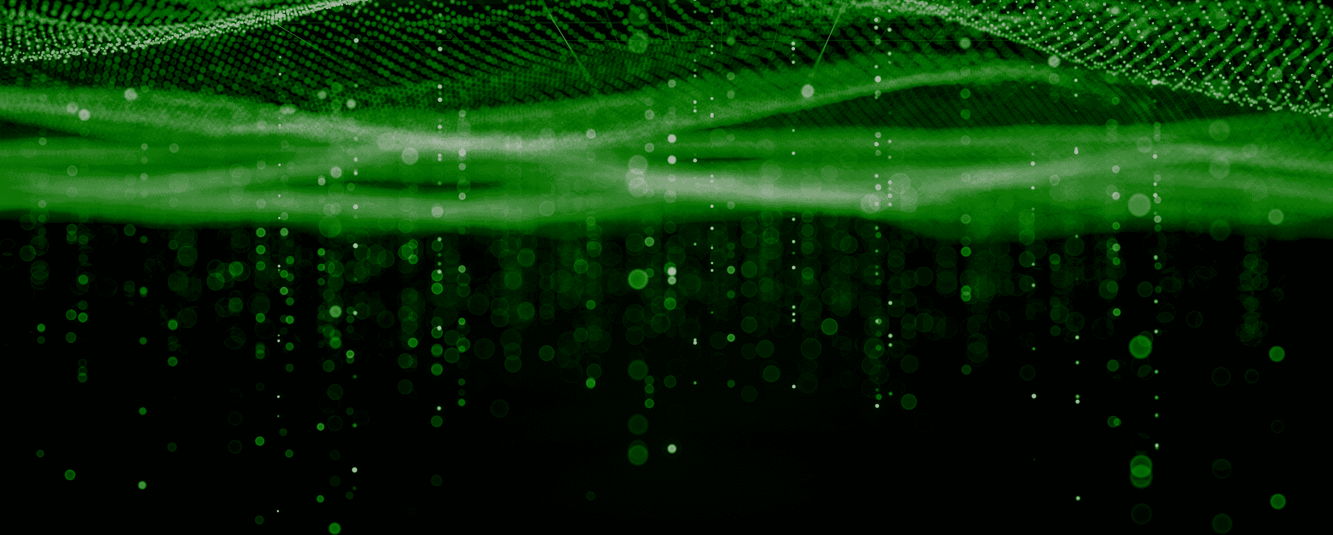 Women working on a tablet