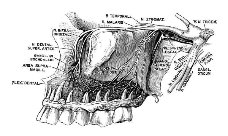 Neuralgia del Trigémino: Síntomas, Causas y Tratamiento del Dolor de Nervio Trigémino