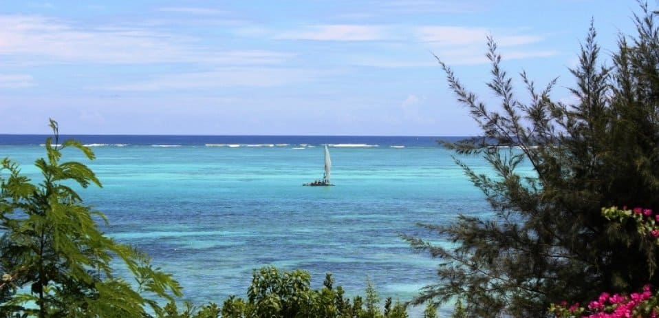 Dhow floating in tropical waters of Zanzibar.