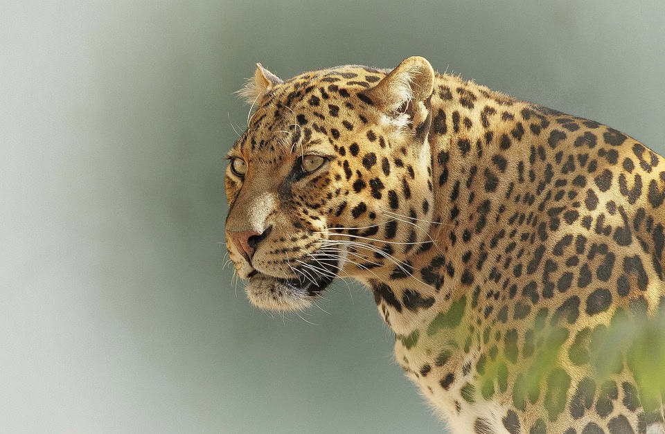 See the Serengeti at any time of the year to suit your budget