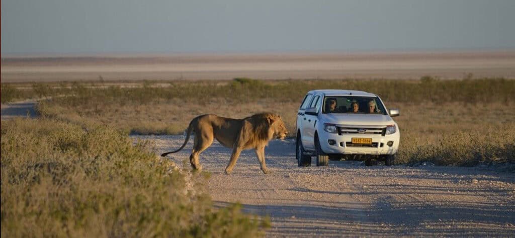 Namibia Self Drive Safari