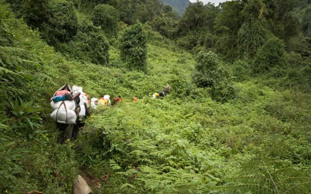 Travellers trekking the Rwenzori Mountains, Uganda | Photo: ApuuliWorlds via Getty