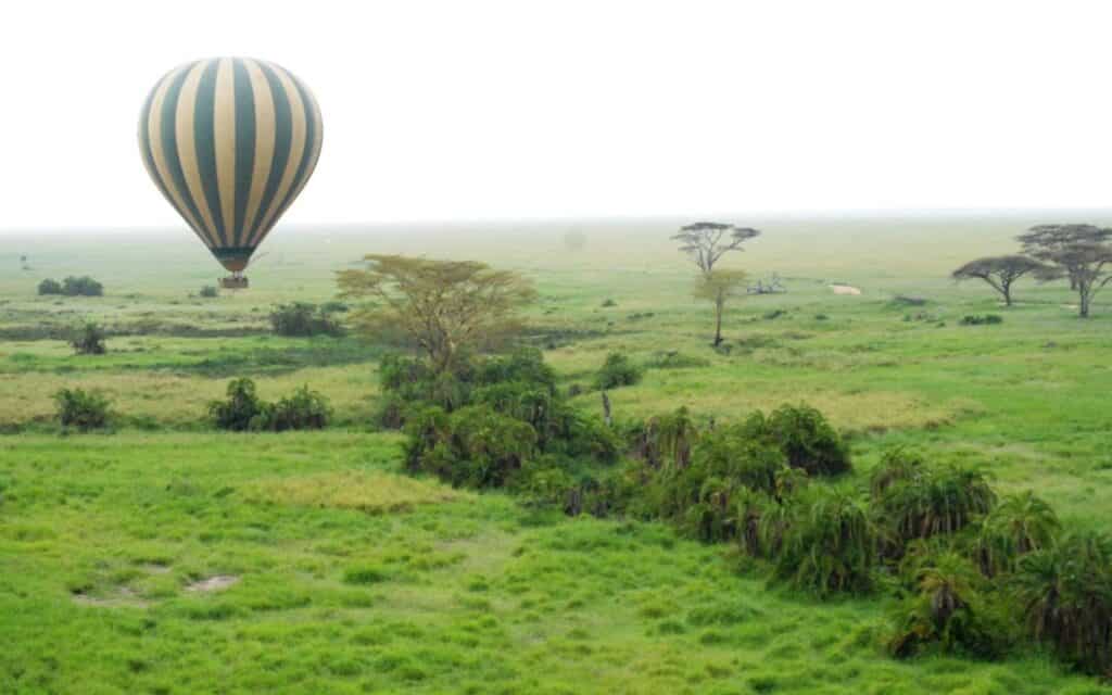 A hot air balloon floating over  a lush and green field with bushes.