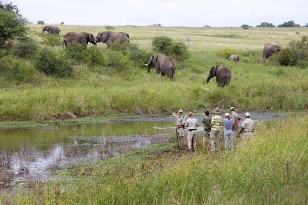 Bush walk in Kapama Game Reserve