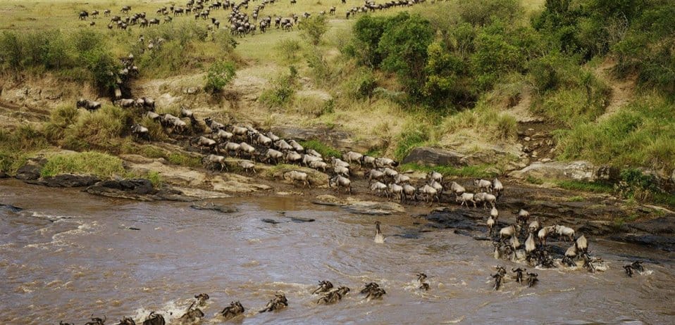 18 things you’ll need to know before booking a Great Wildebeest Migration safari