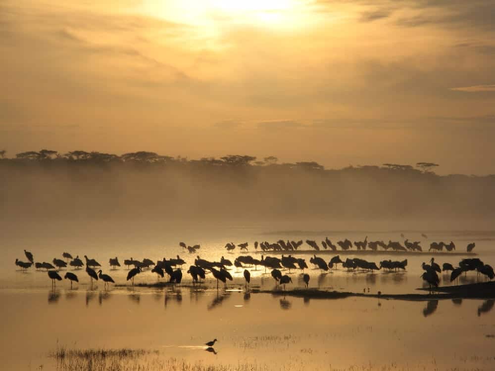 lake ndutu serengeti