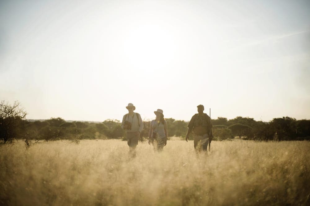 walking safari with olivers camp in the serengeti