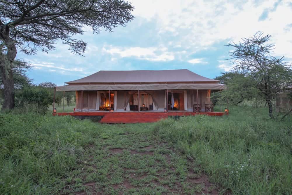 serengeti acacia camps seronera