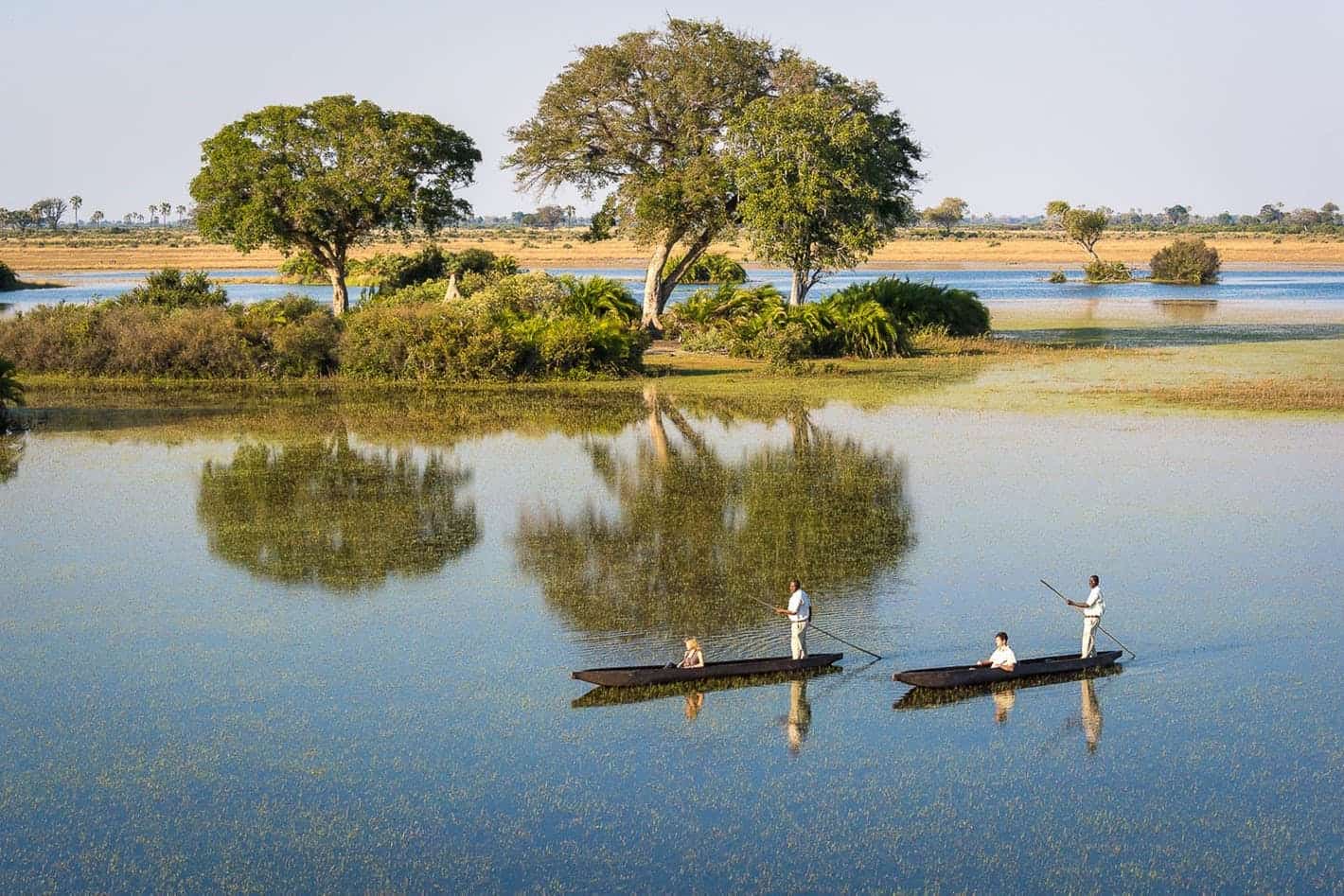 Honeymooning in Botswana