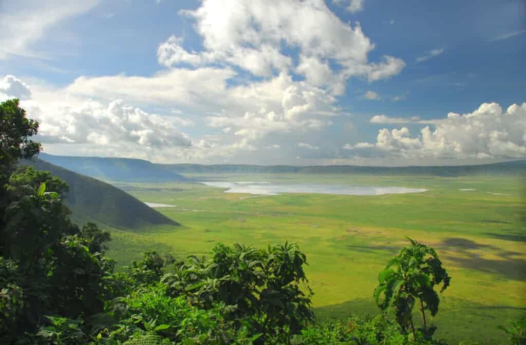 Visa Free Travel For Americans