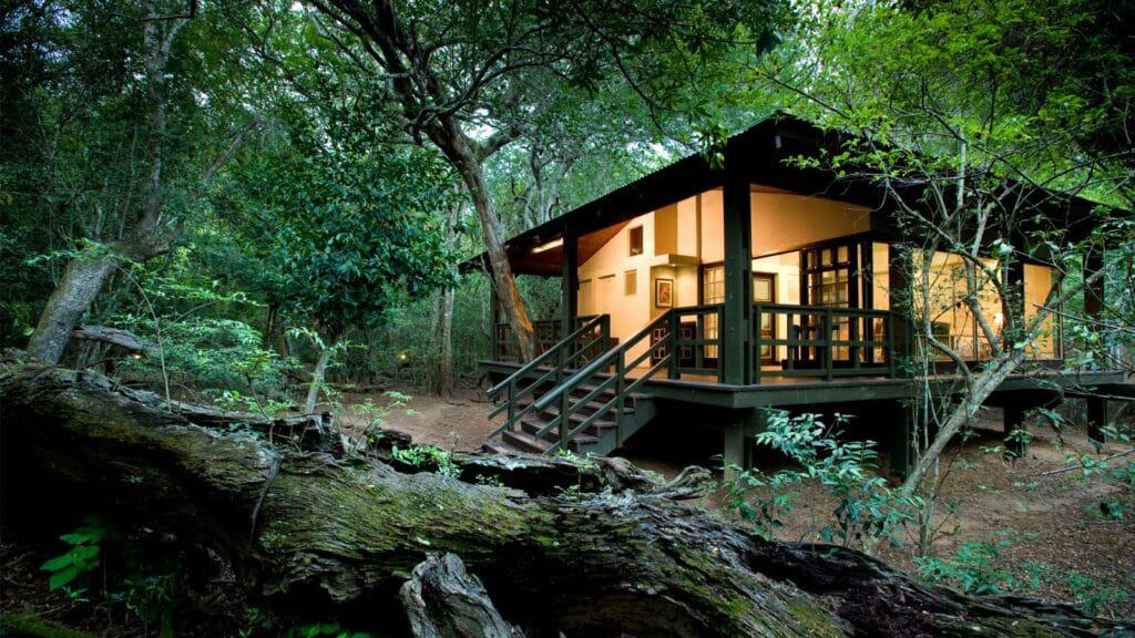Luxury suite at Phinda Forest Lodge | Photo credits: Phinda Forest Lodge