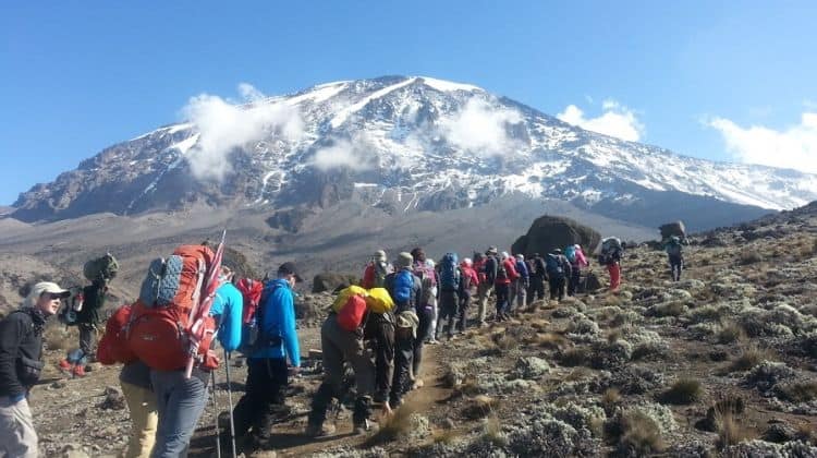 Climbing Mount Kilimanjaro from the Marangu route, Tanzania.