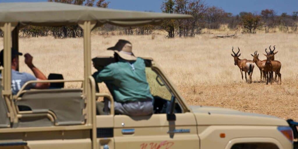 Game Drive in Dolomite Camp, Etosha National Park