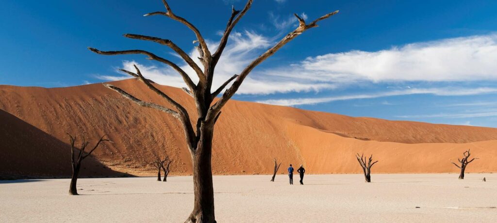 Deadvlei at Sossusvlei in Namibia.