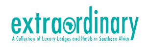 Extraordinary Logo