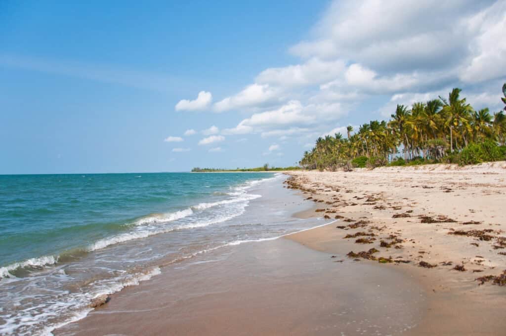Beach in Saadani National Park, Tanzania