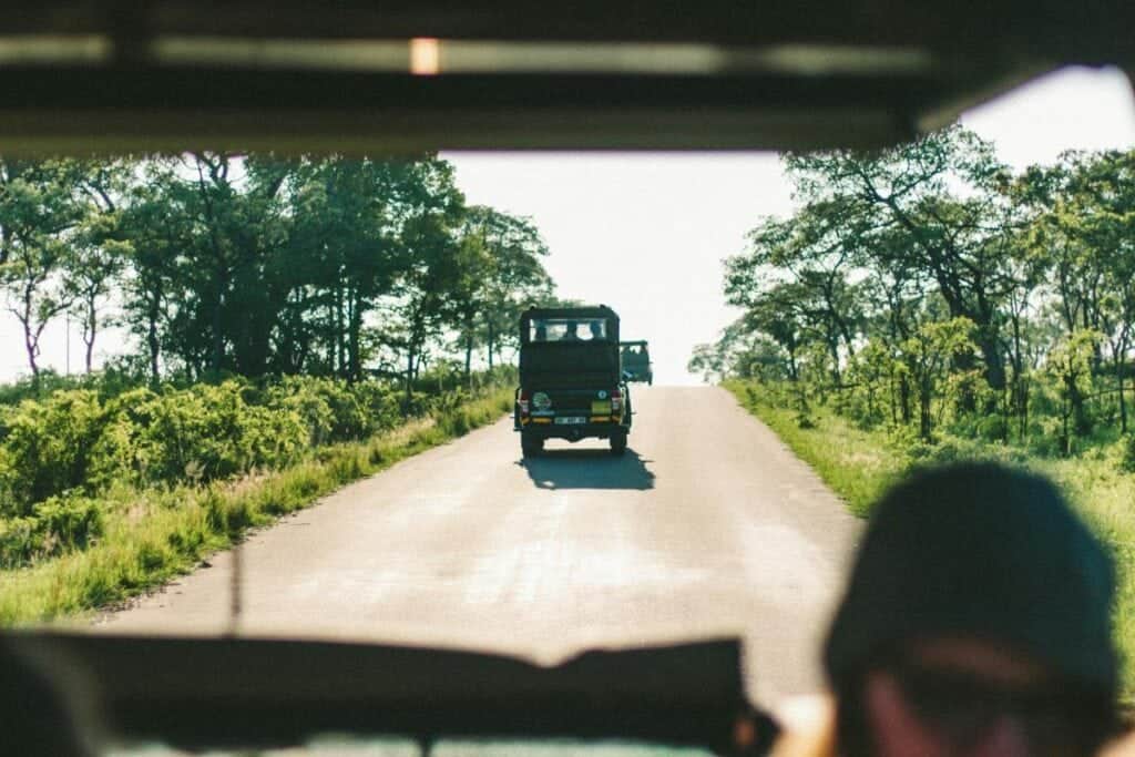 A game drive in Kruger National Park.