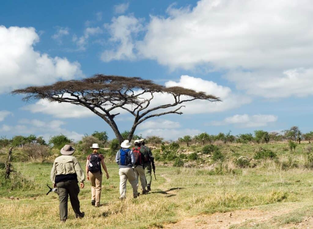 A guided walking safari.