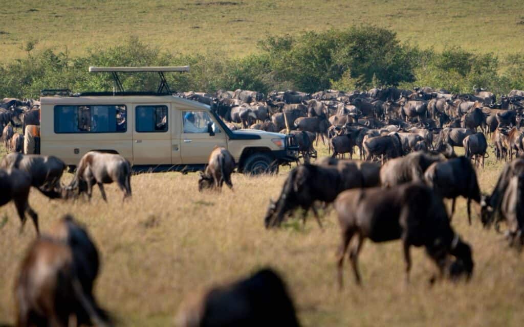 Migration Safari in Kenya | Photo: mantaphoto via Getty