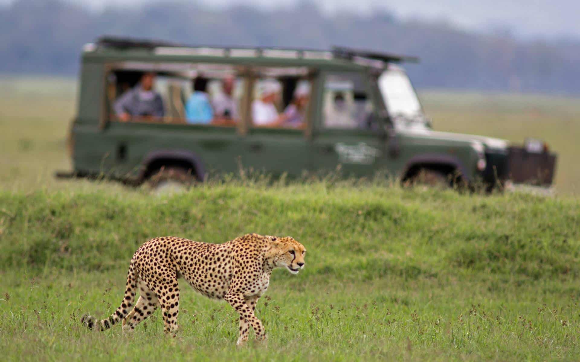 Travellers on a game drive in Kenya | Photo: WLDavies via Getty