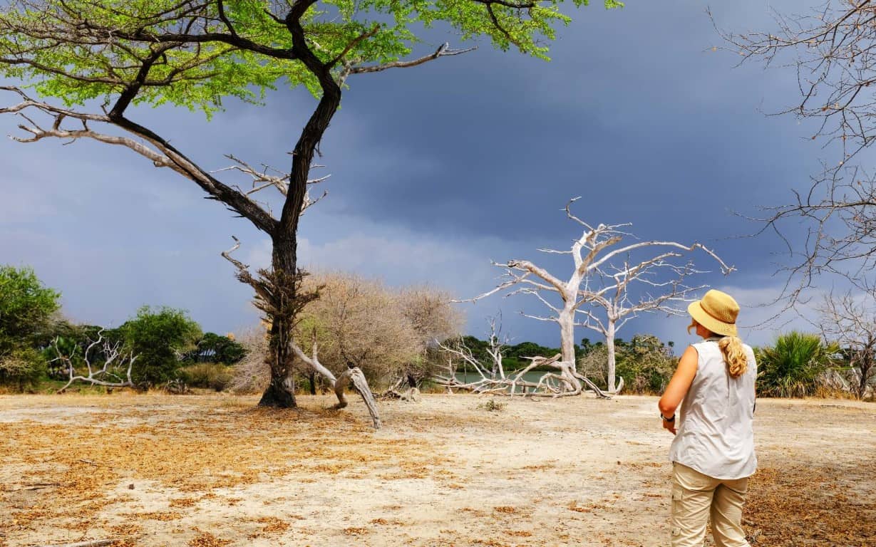 Woman on a walking safari in Nyerere National Park, Tanzania | Photo: brytta via Getty