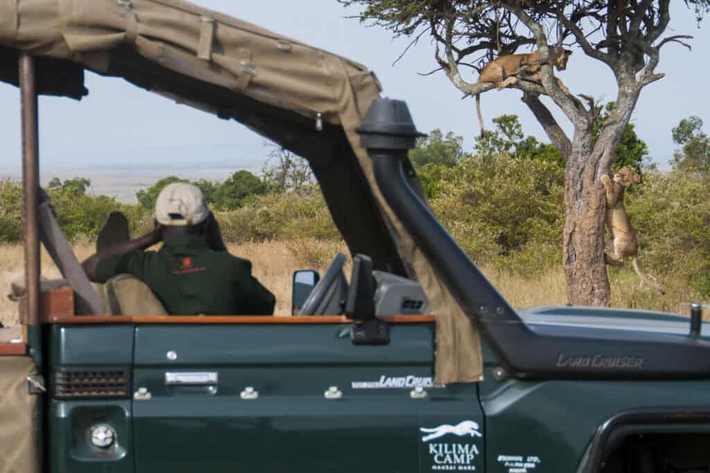 Game drive in Masai Mara, Kenya | Photo credit: Kilima Camp