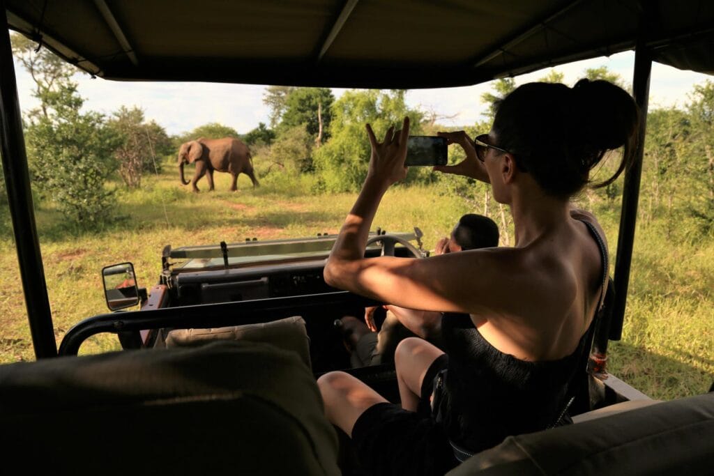 Game Drive | Photo Credits - Victoria Falls River Lodge