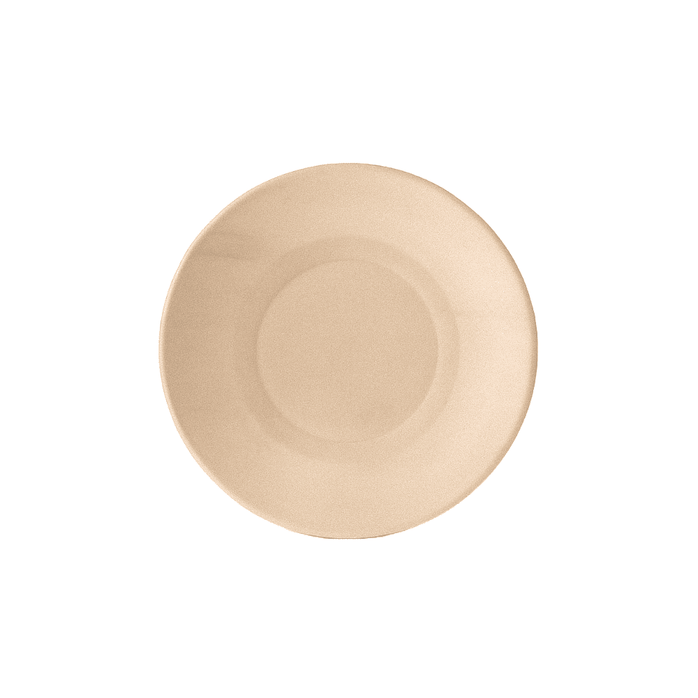 Assiettes écologiques en bois naturel ø 21 cm, lot de 100.