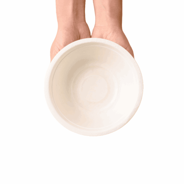 Bols jetables écologiques pour aliments chauds et froids.
