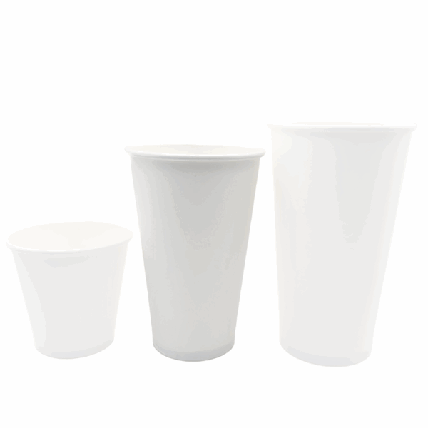 Gobelets jetables écologiques 16oz (500ml) en papier blanc avec revêtement PLA - Boîte de 100