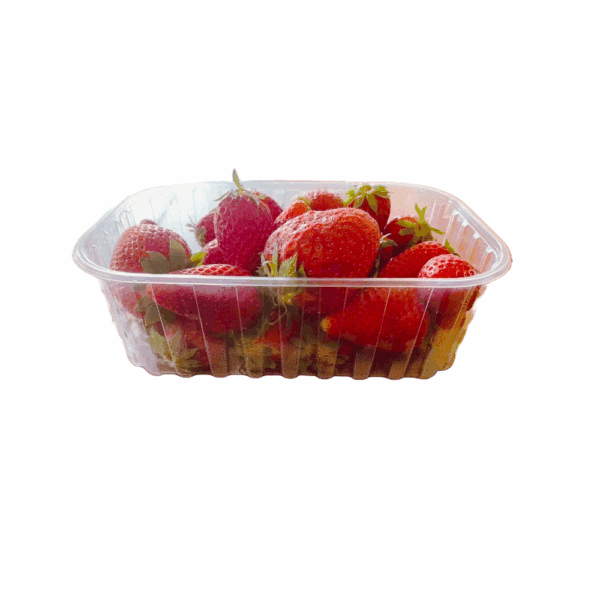 Boîte écologique 700 ml certifiée UNI EN 13432 pour aliments froids.