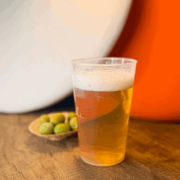 Solution durable pour repas - Assiette compostable respectueuse environnement