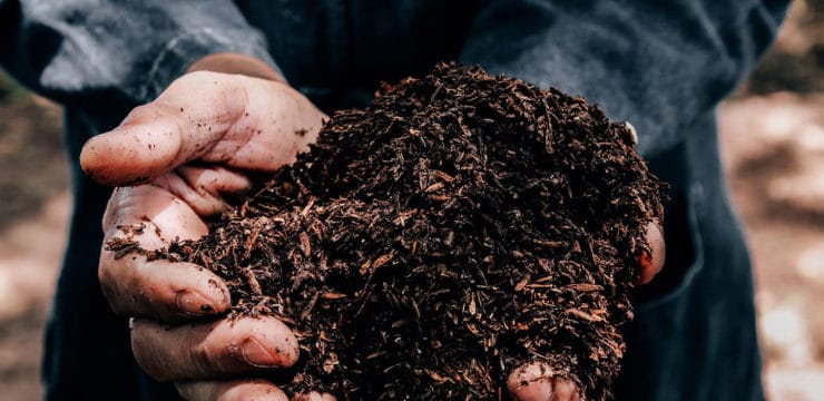 Une personne tenant une poignée de xylit donc le media compostable filtre compact