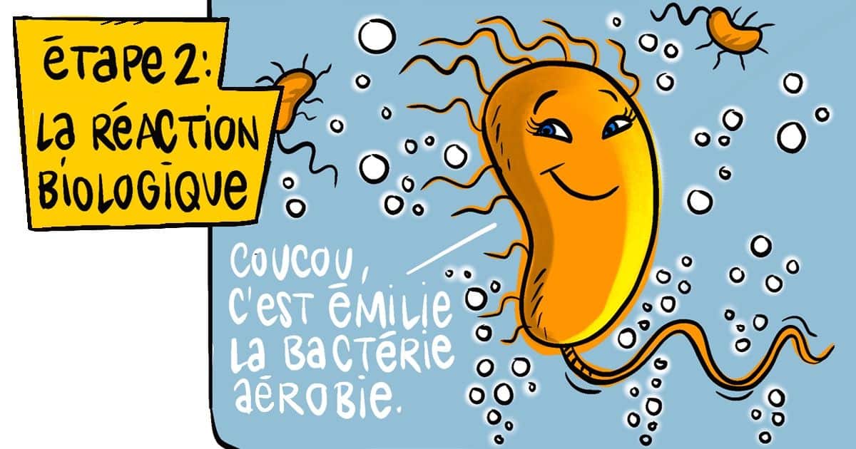 étape 2 : la réaction biologique "coucou c'est Emilie la bactérie aérobie"