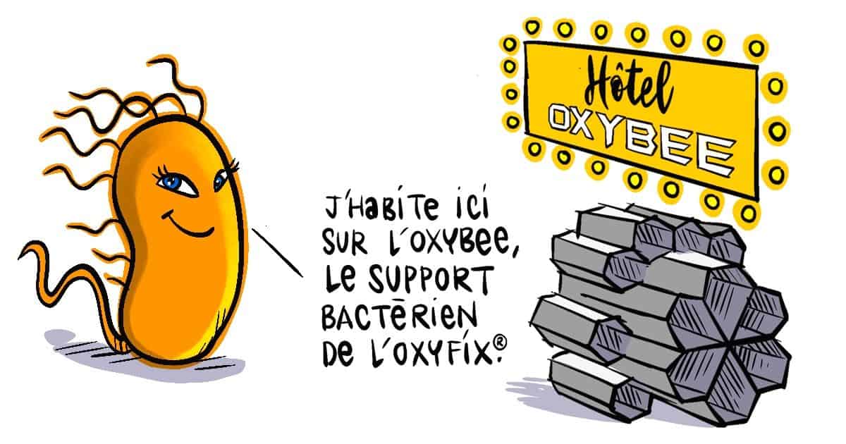hôtel oxybee "j'habite ici sur l'oxybee, le support bactérien de l'oxyfix®"