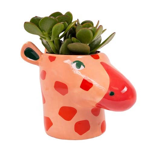 Hyper Jungle Giraffe Plant Pot