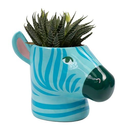 Hyper Jungle Blue Zebra Plant Pot