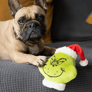 2167F Grinch Pet Toy Lifestyle2 (1) 2167F Grinch Pet Toy Lifestyle2 (1)