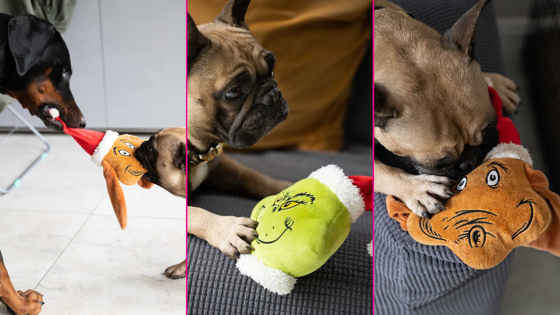 Grinch Pet Toys Banner