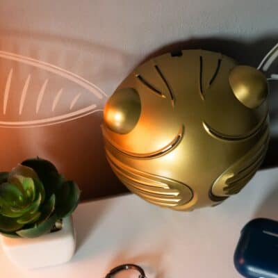 Harry Potter Golden Snitch Wall Light