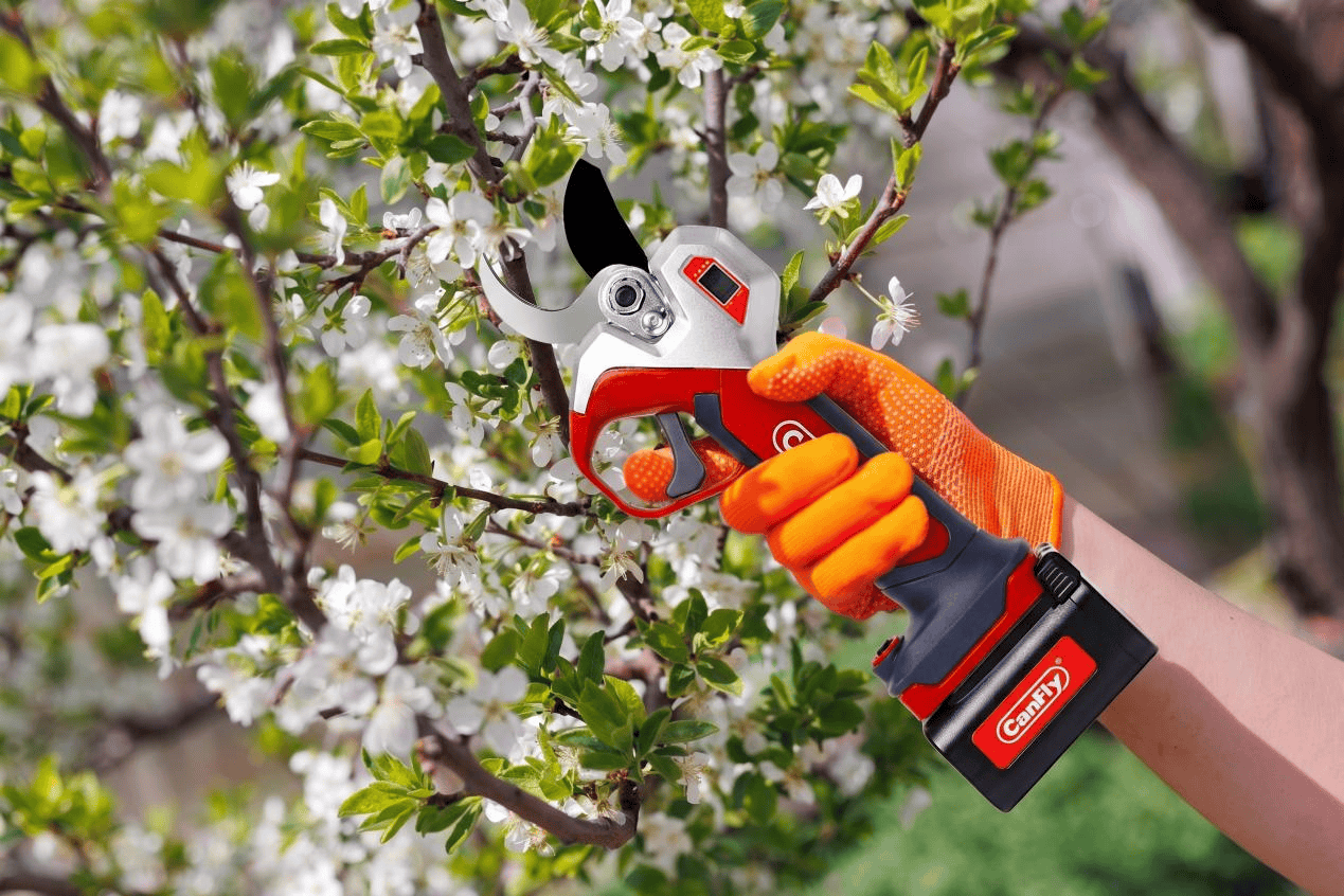 Lithium Pruner