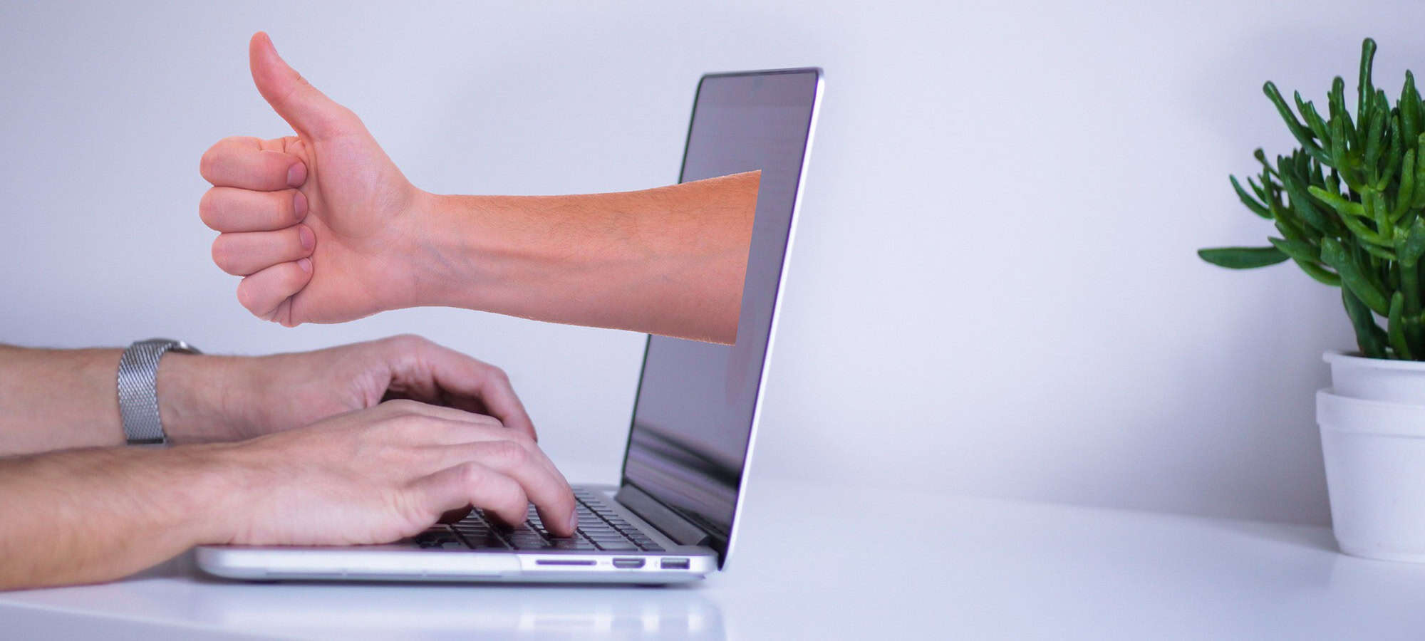 Building an Internet Stronghold: Guide to Building Your Corporate Website