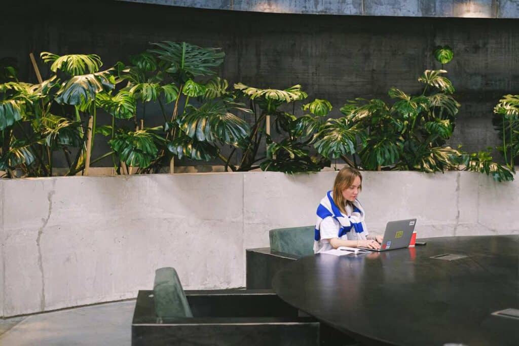 plants in office