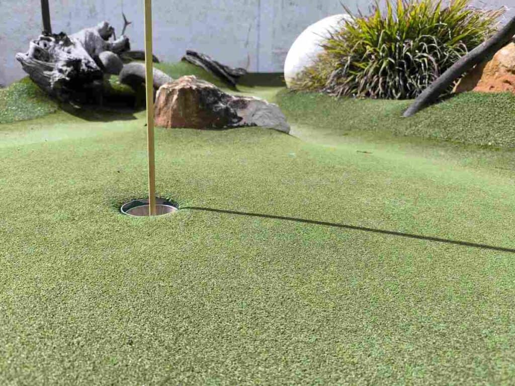 putting green - backyard golf