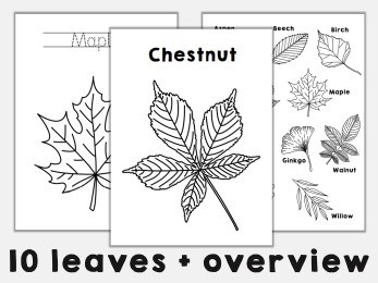 Leaf coloring pages printable autumn fall craft activity for kids