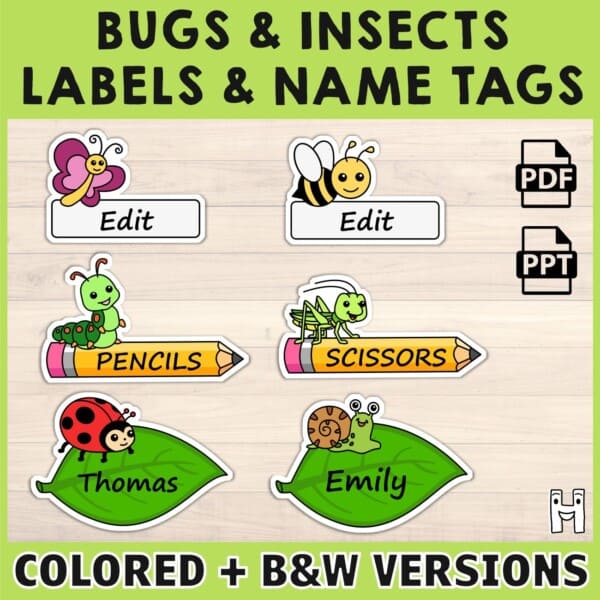 Bugs insects labels name tags printable classroom decoration animal