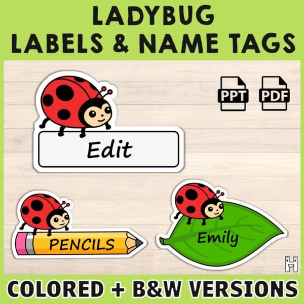 Ladybug labels name tags printable classroom decoration animal